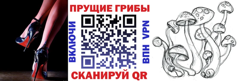 Галлюциногенные грибы GOLDEN TEACHER  как найти   Стрежевой 
